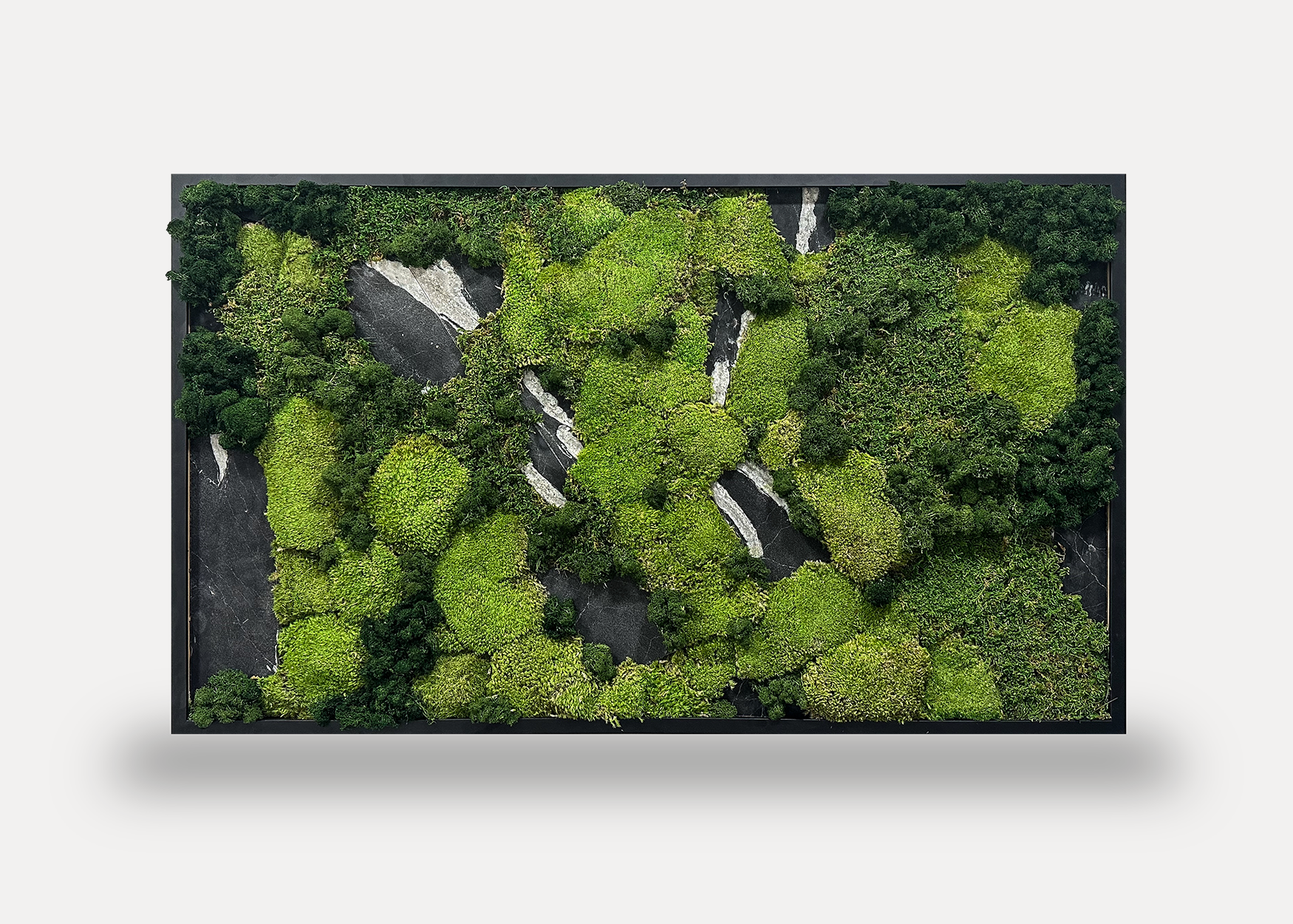 Mossframe - Black 01