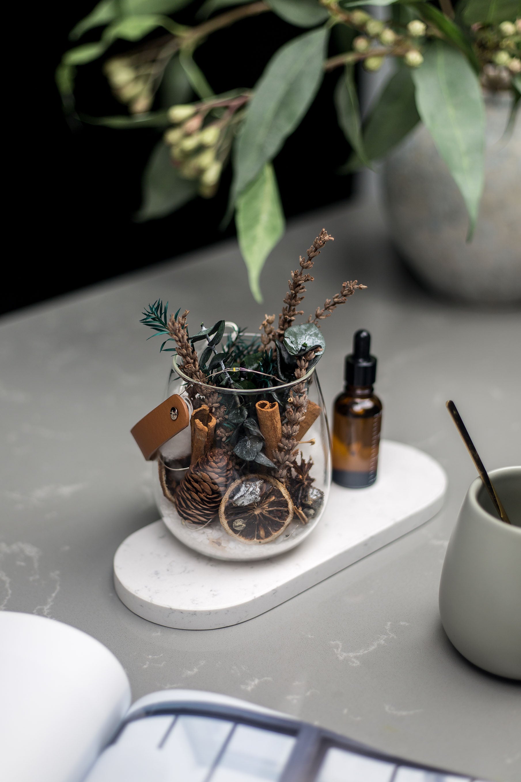 D.I.Y Preserve Flora Terrarium