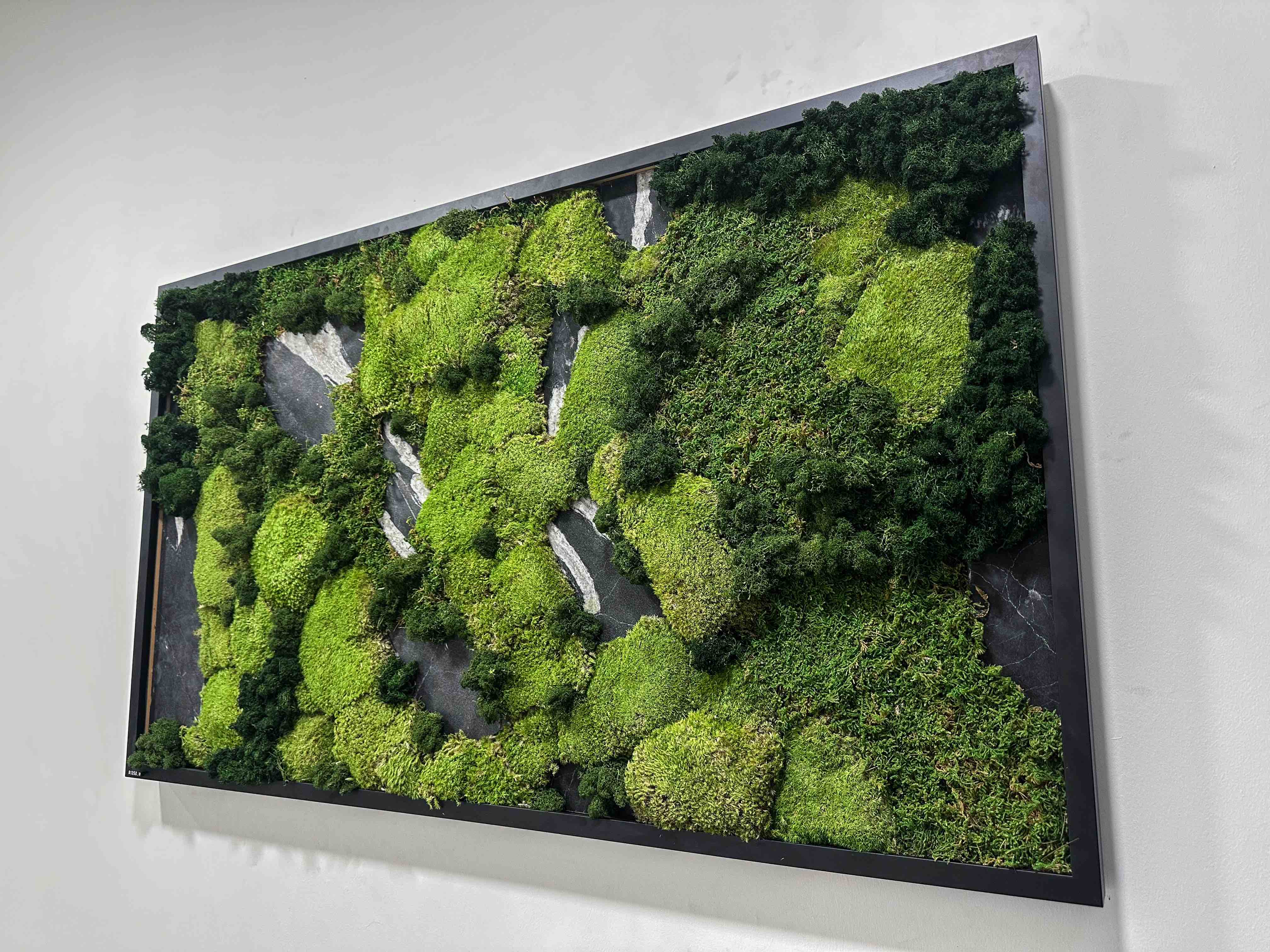 Mossframe - Black 01