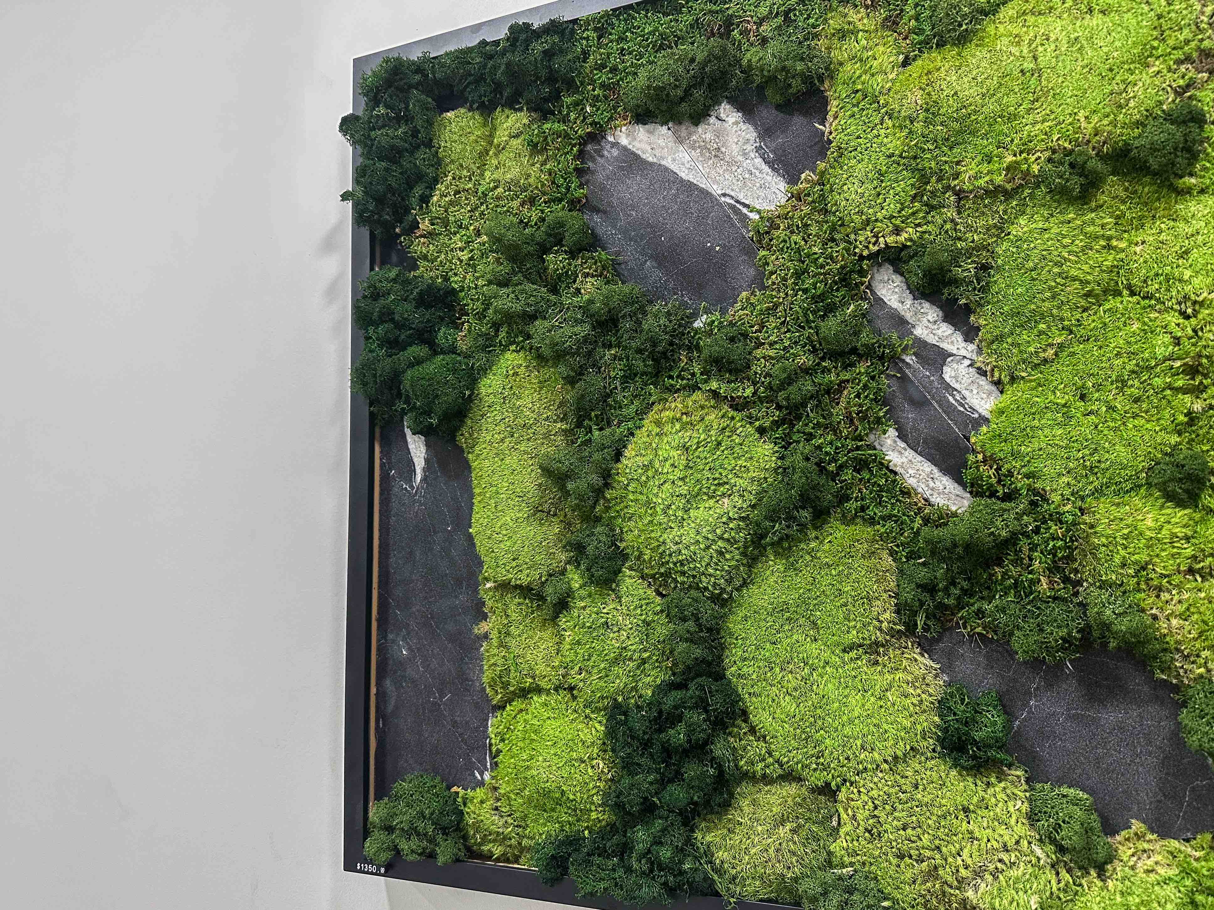 Mossframe - Black 01