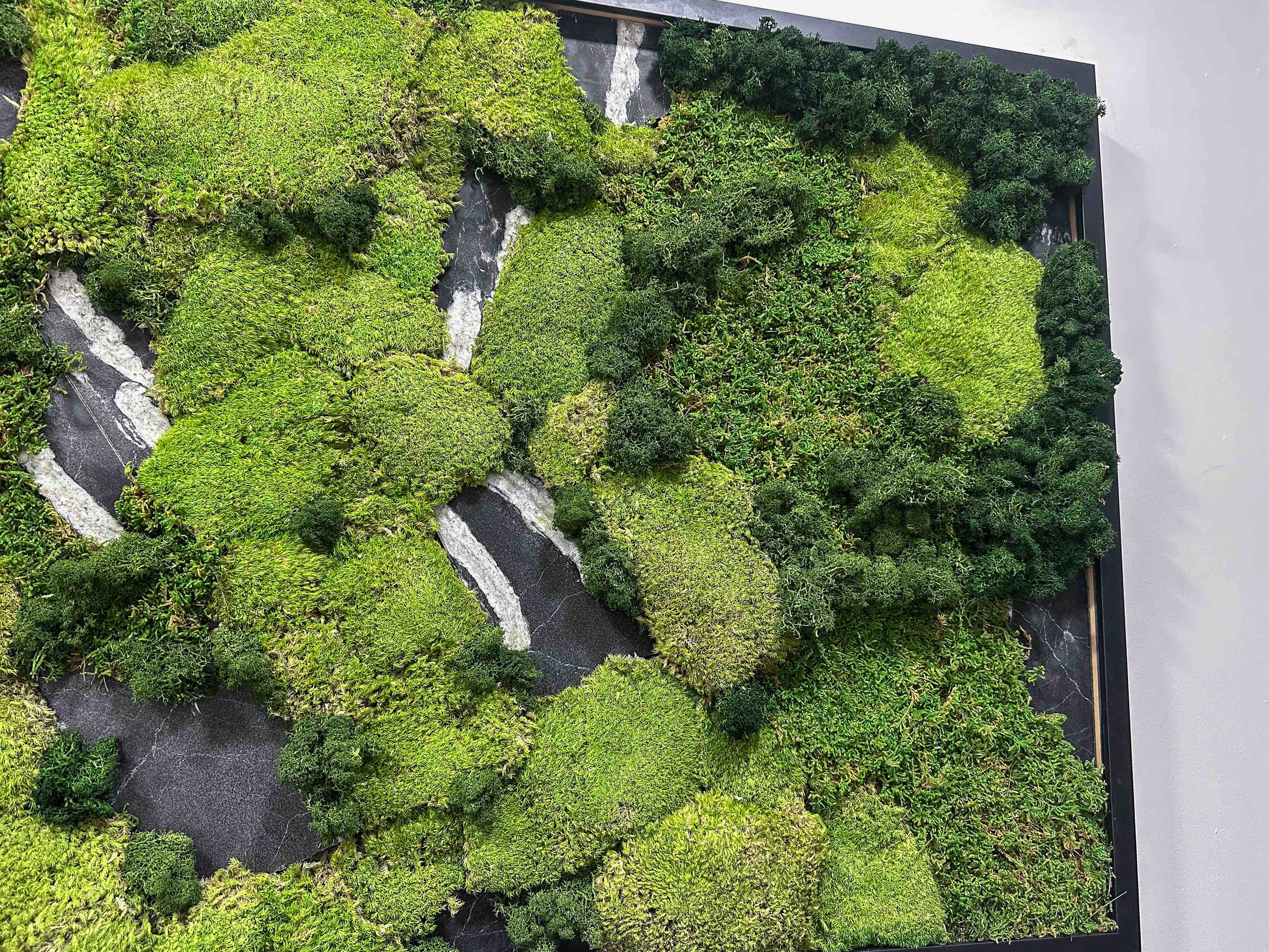 Mossframe - Black 01