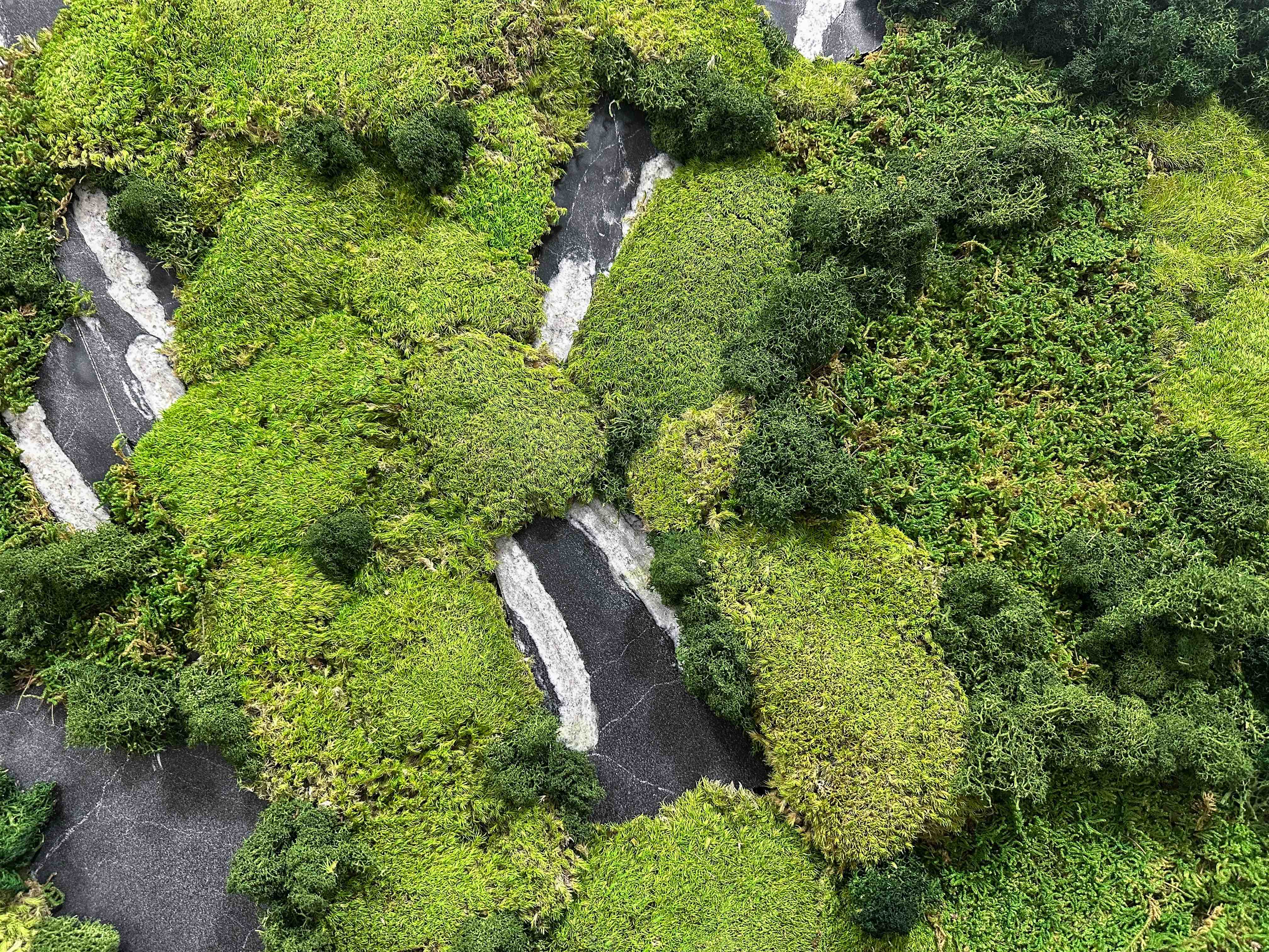 Mossframe - Black 01