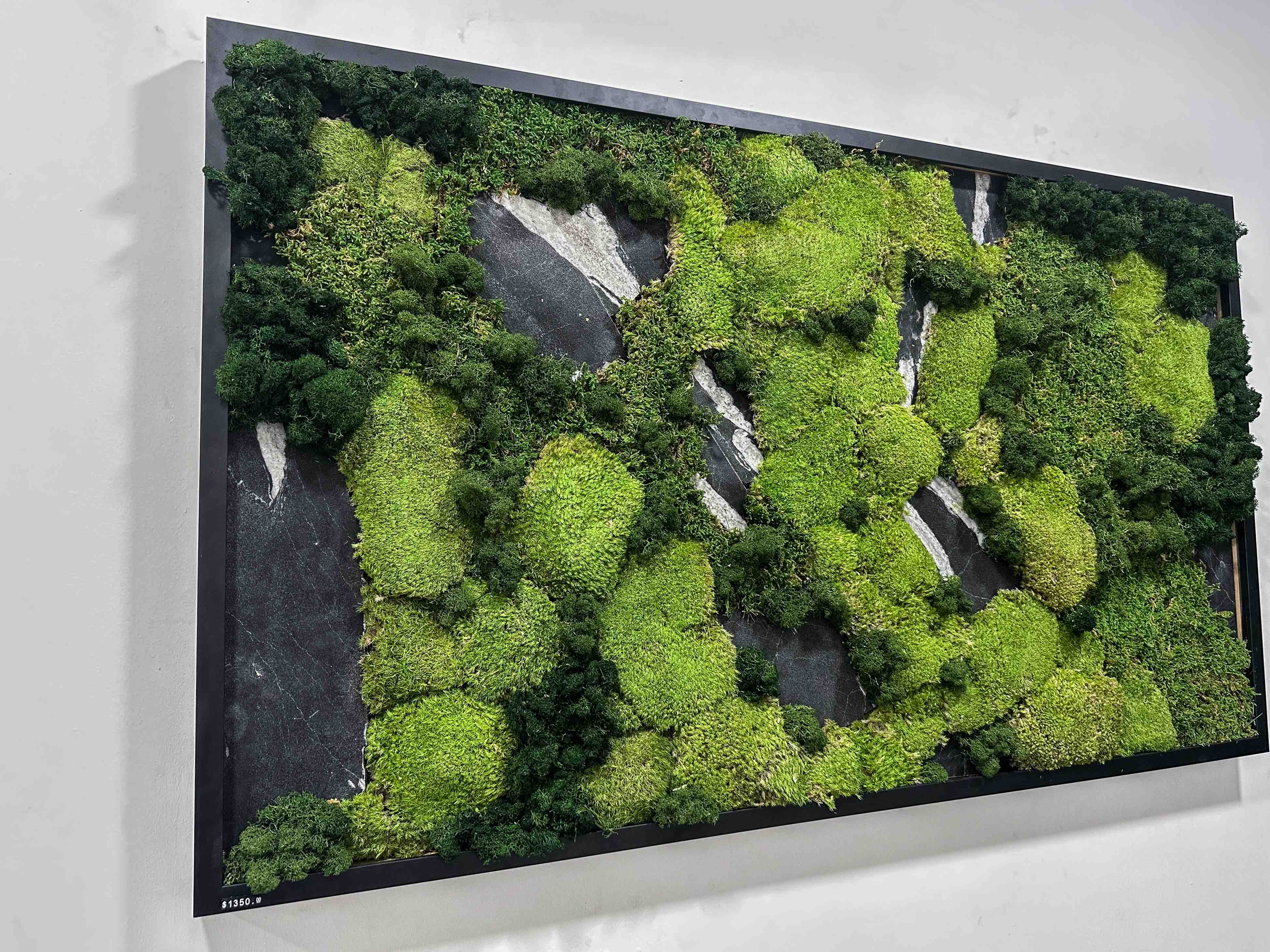 Mossframe - Black 01