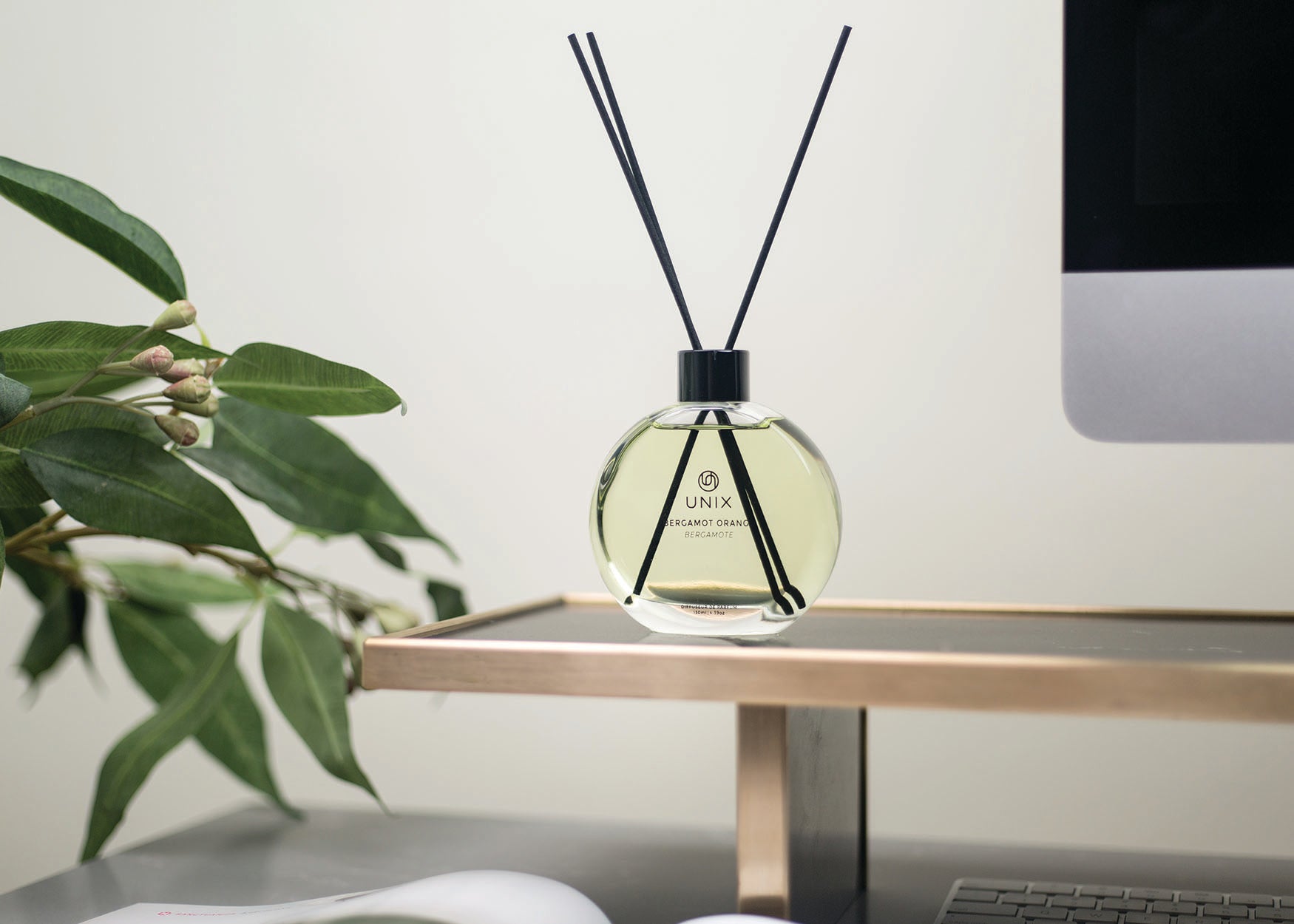 Bergamot Orange Home Perfume Diffuser