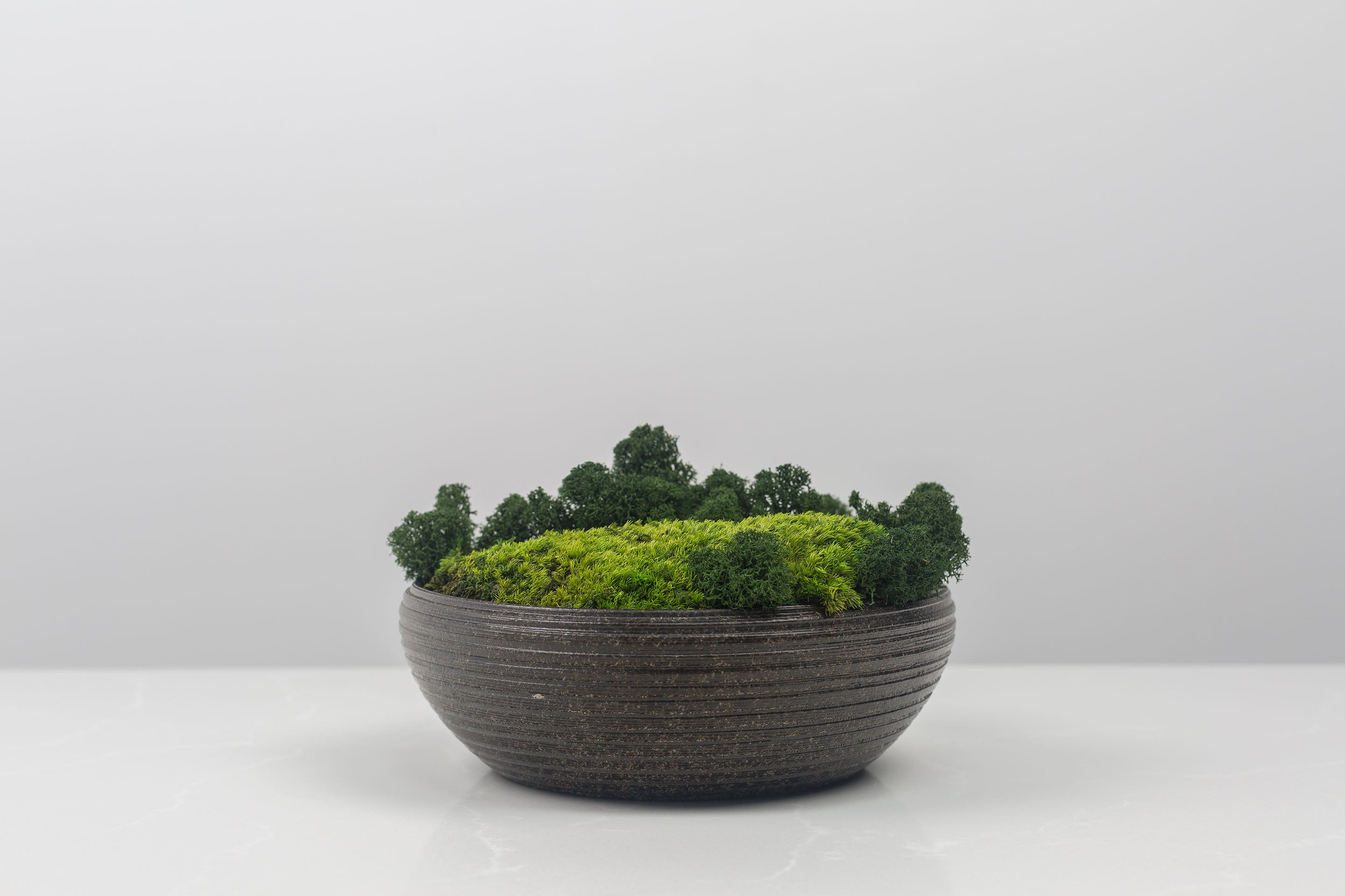 Zenbowl