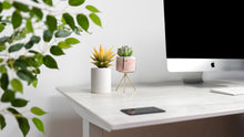 Load image into Gallery viewer, LYRA Standing Desk