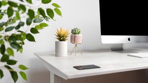 LYRA Standing Desk