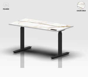 LYRA Standing Desk HERO