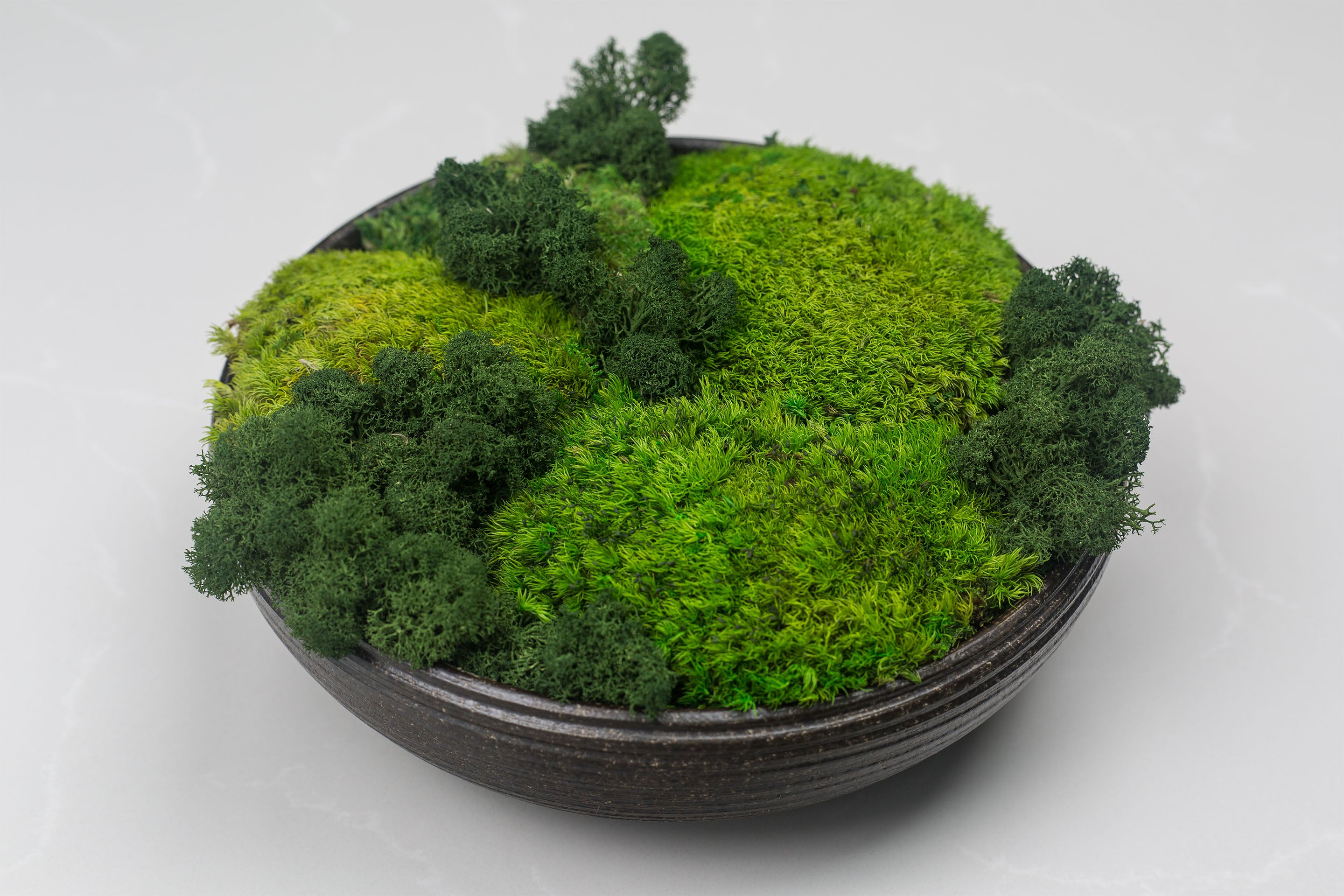 Zenbowl