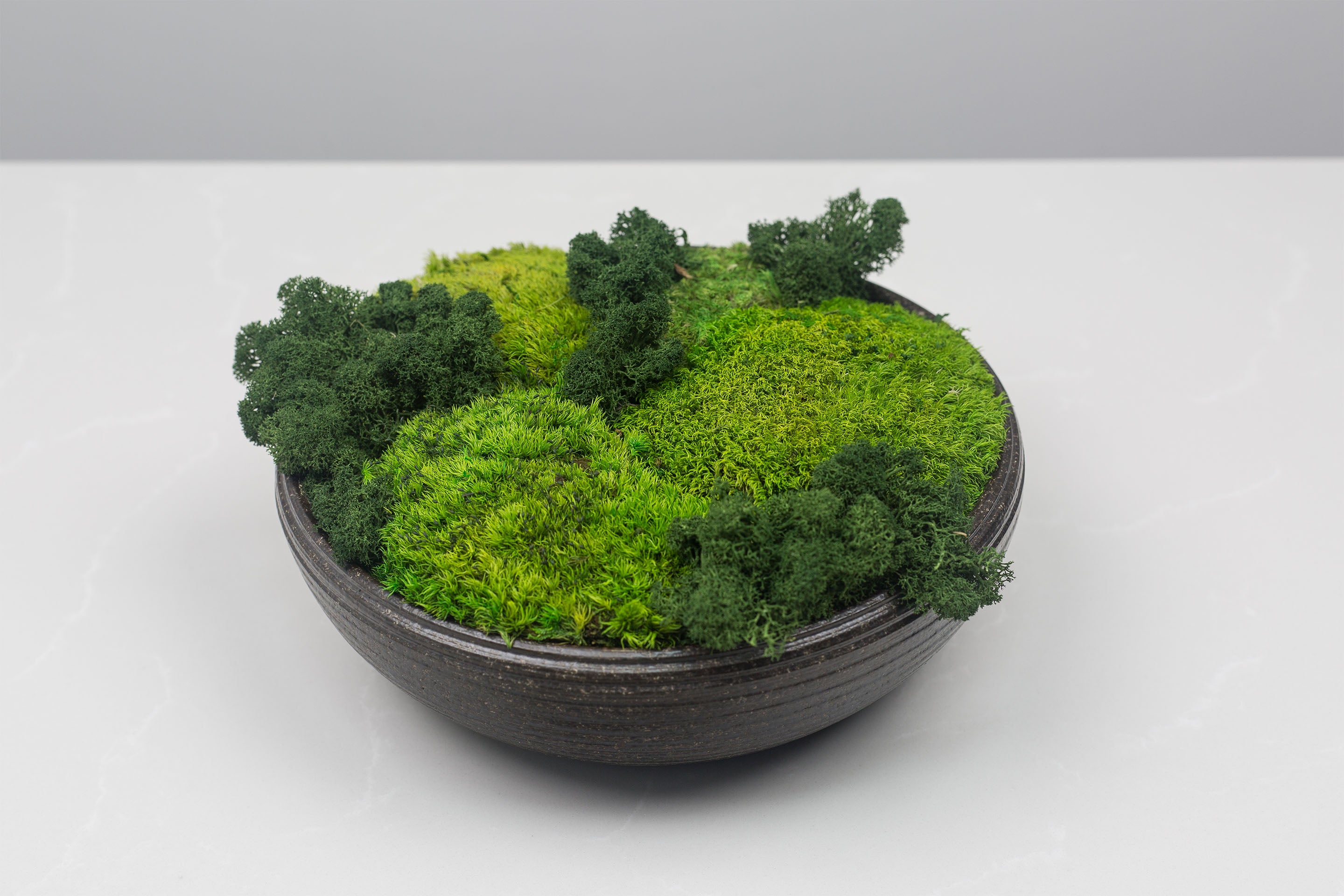 Zenbowl