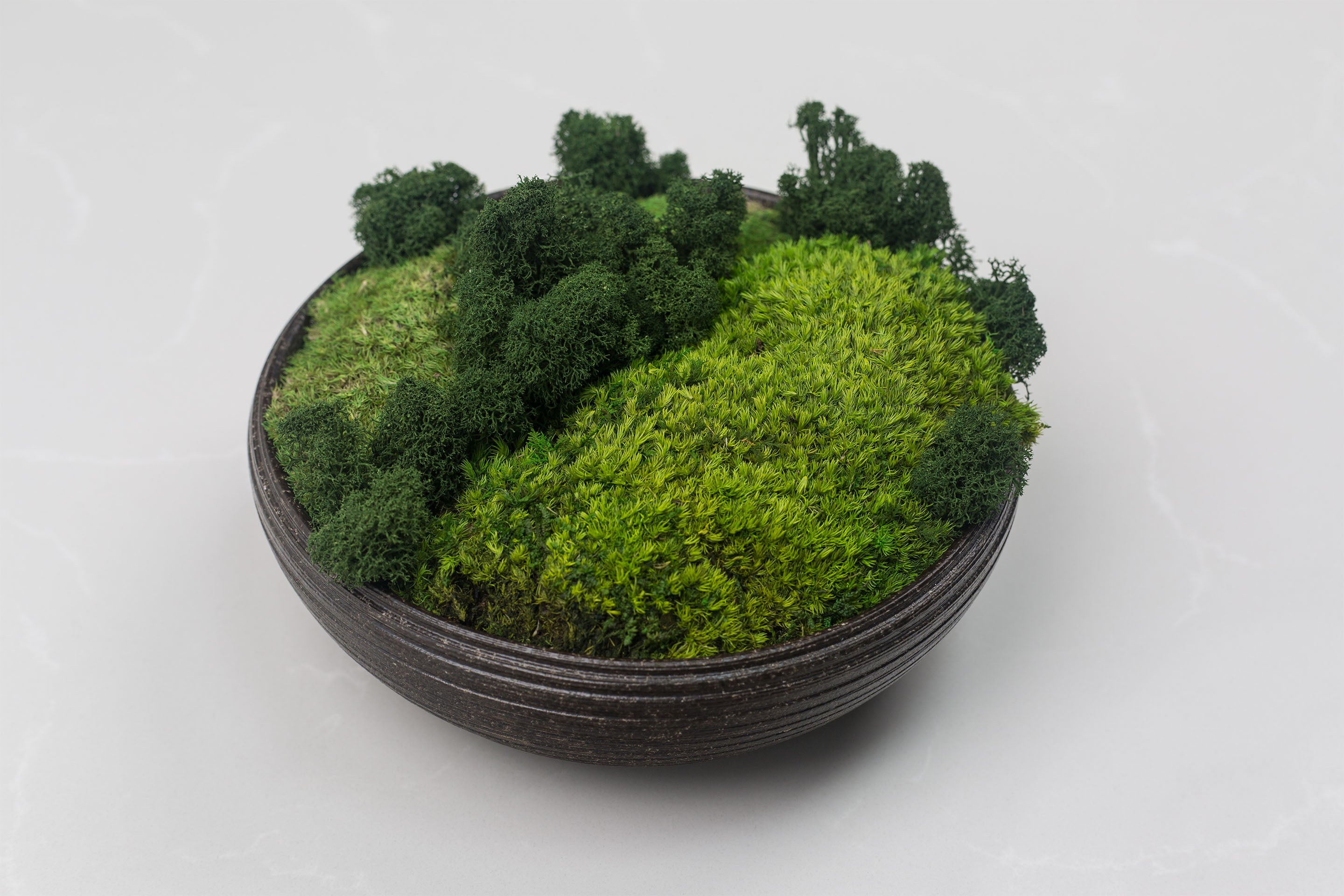 Zenbowl
