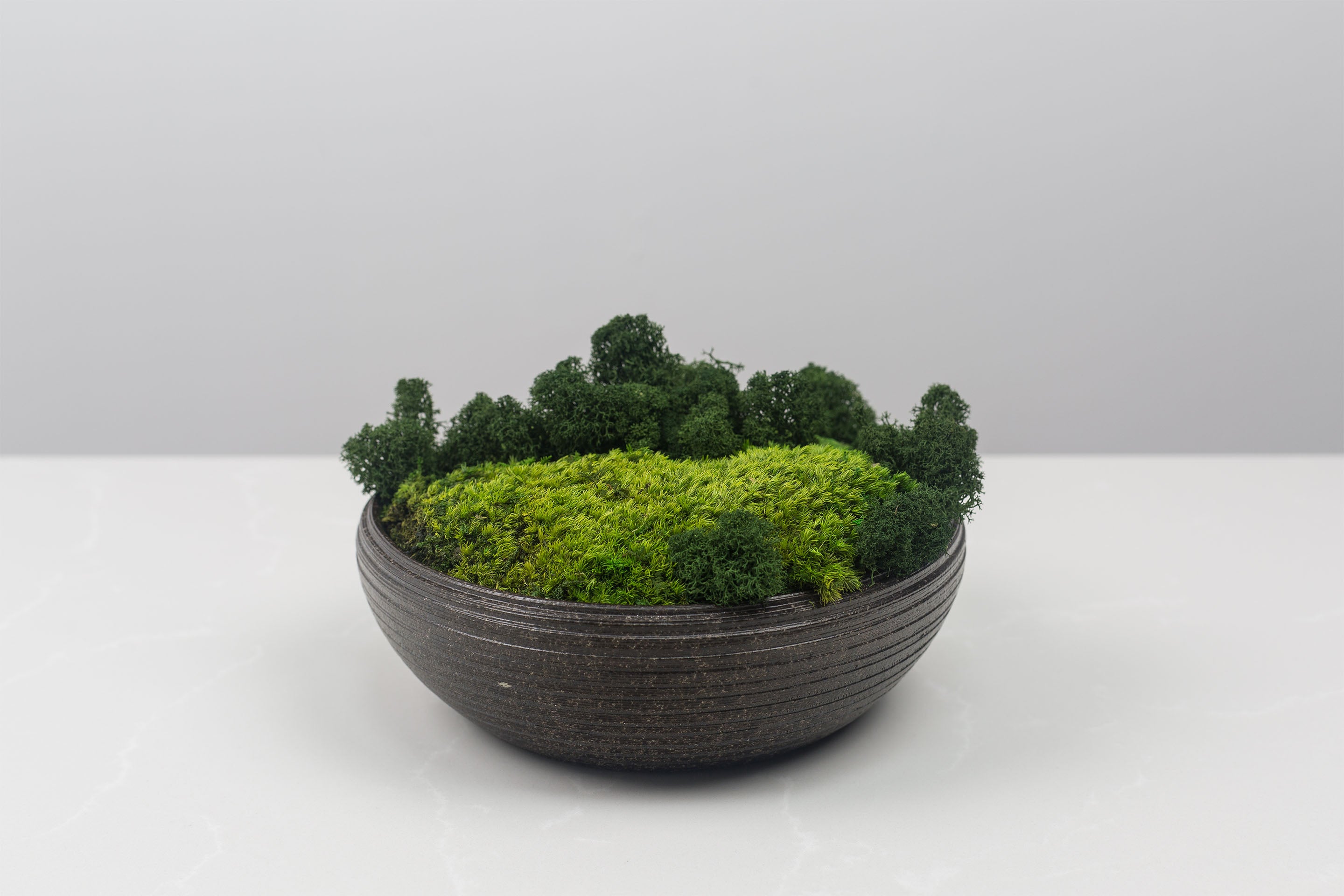 Zenbowl
