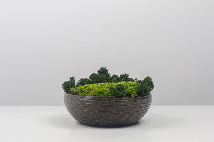 Zenbowl
